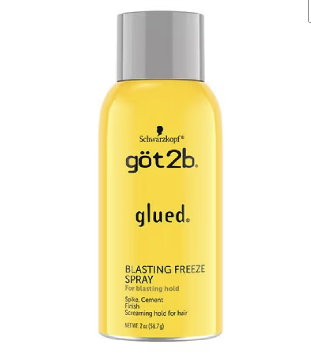 Got2b spray 2OZ